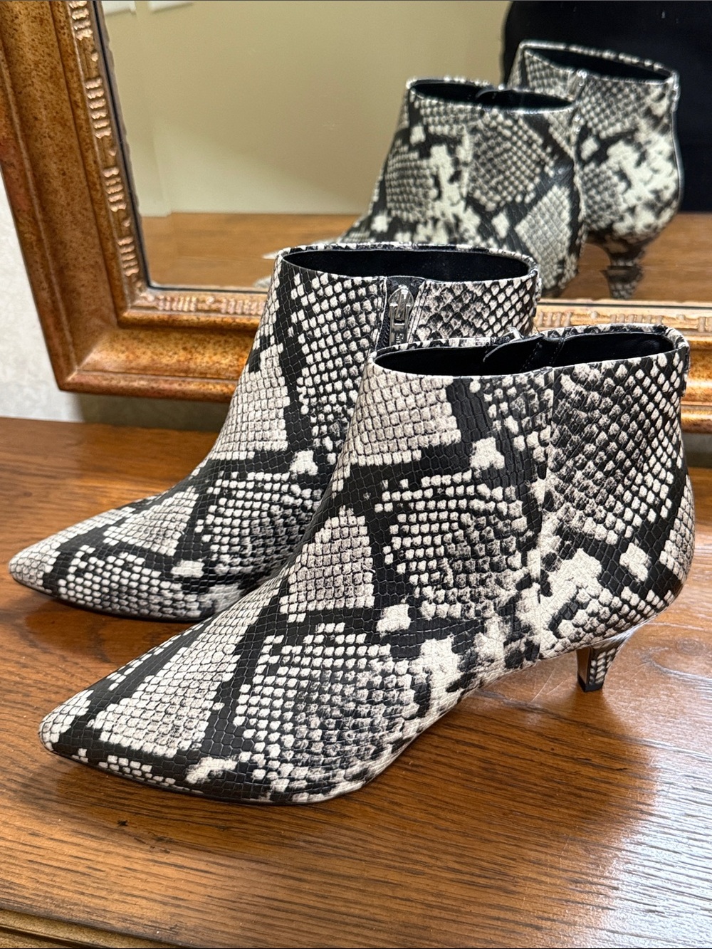 New- Circus by Sam Edelman. Snake-Print Ankle Boots in Black/White. Size 8.5.